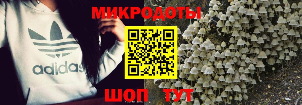 Большой Камень  Галлюциногенные грибы мухоморы  Вход с VPN  Галлюциногенные грибы MAGIC MUSHROOMS 